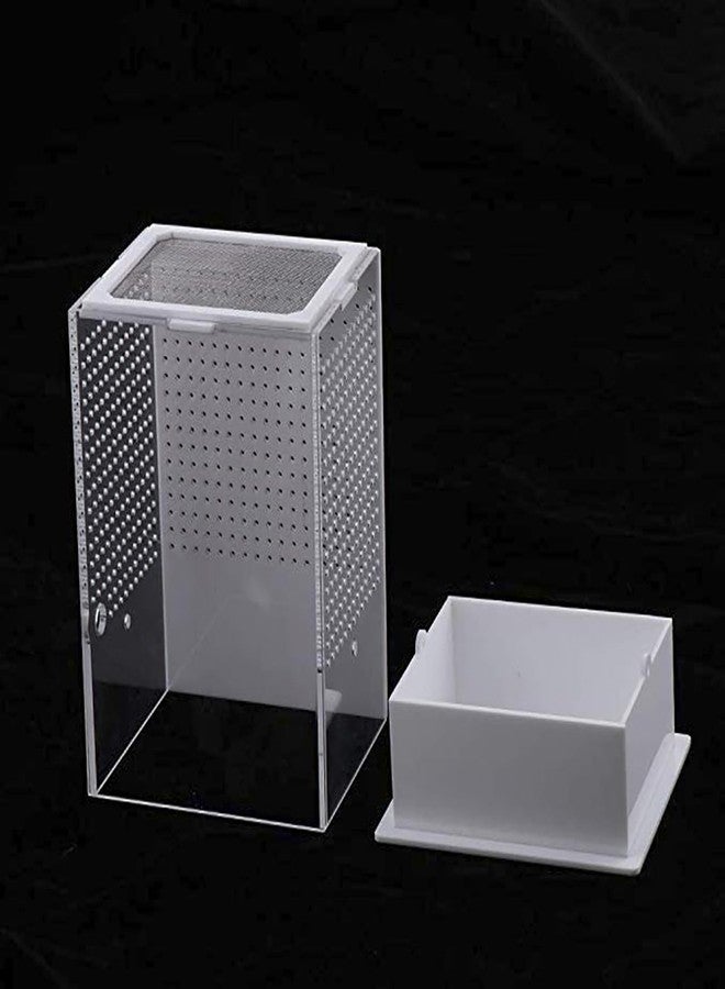 OMEM Reptile Breeding Box, Insect Incubator, for Orchid Mantis, African Phantom Mantis, Reptile Resting Habitat and Entertainment - Image 4